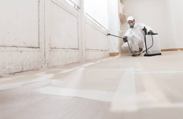 24/7 Emergency Mold Removal experts in Oakland, PA